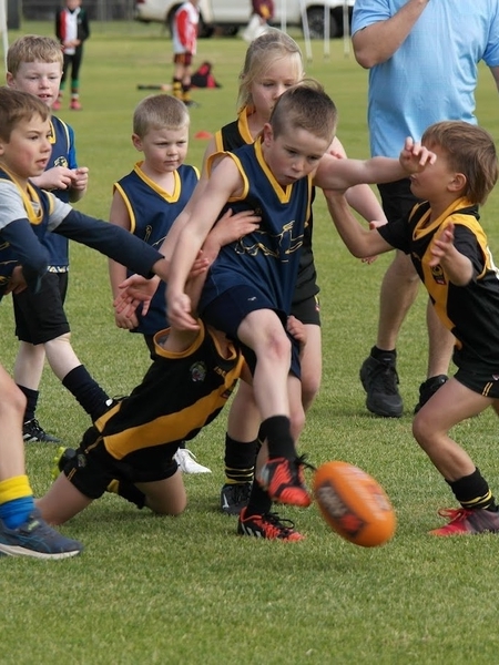 Wheatbelt Celebrates 19th year of Auskick Carnival